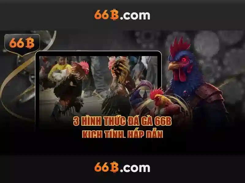  66B không bị chặn - 66B