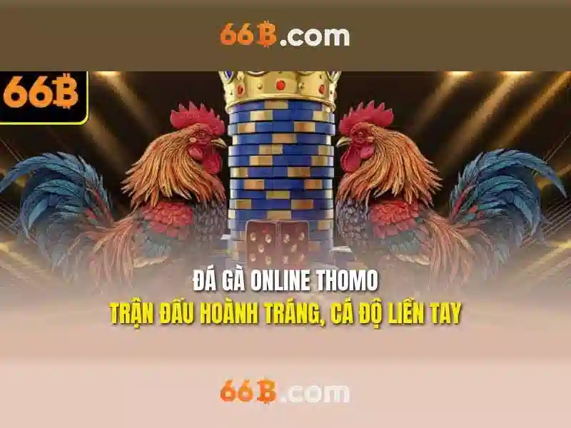 Hướng Dẫn Đổi IP Dễ Dàng Để Vào 66B Mọi Lúc Mọi Nơi - 66B