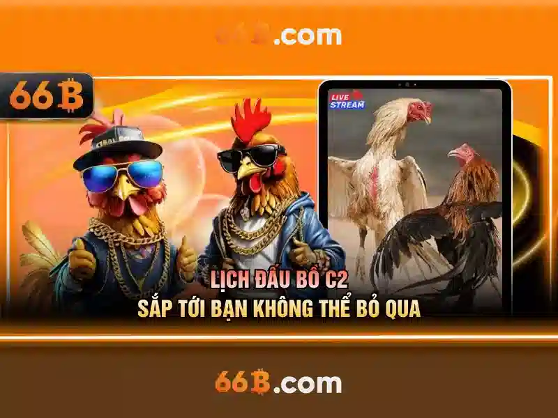  66b cập nhật - 66B