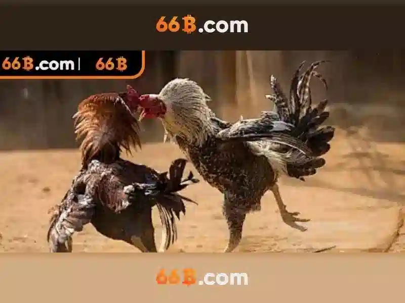  bảo mật Slot - 66B