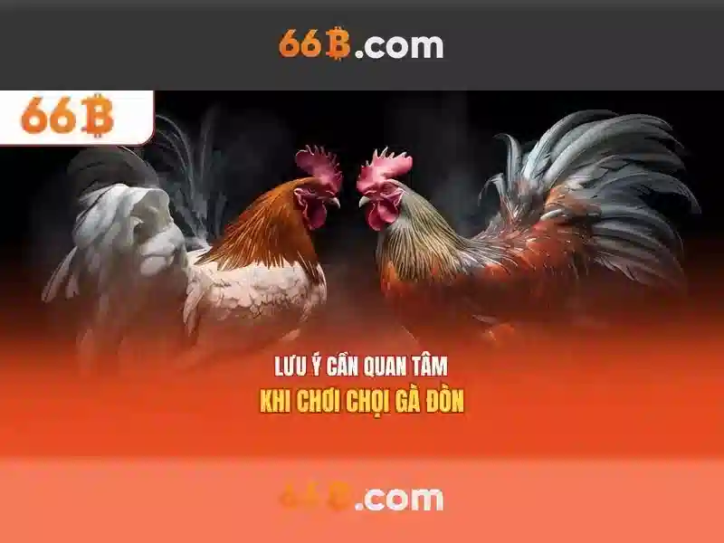 Đăng ký tài khoản 66B｜Nền tảng SLOT uy tín hàng đầu châu Á với code 66b - 66B