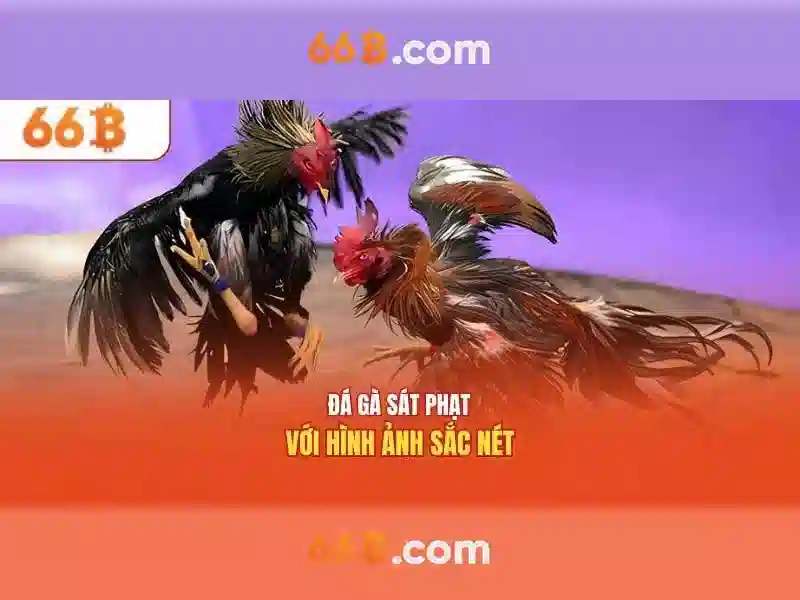 tài xỉu 66b – 66B – Slot 66B – Trải Nghiệm Chơi Slot Đỉnh Cao 2026 - 66B