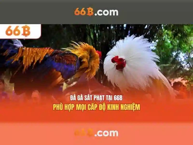  game bắn cá 66B - 66B