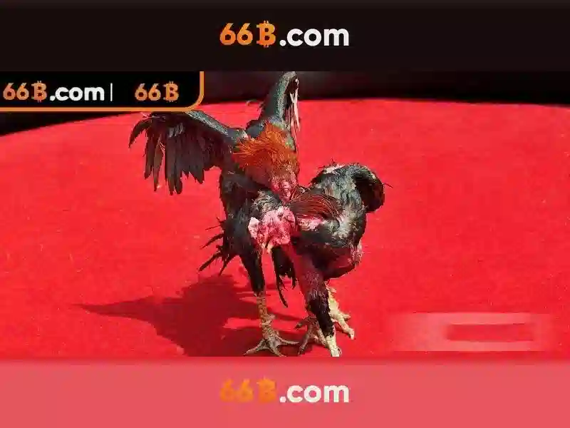  66B khuyến mãi - 66B