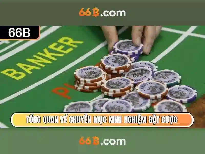 66b: Nền tảng cá cược trực tuyến uy tín năm 2026