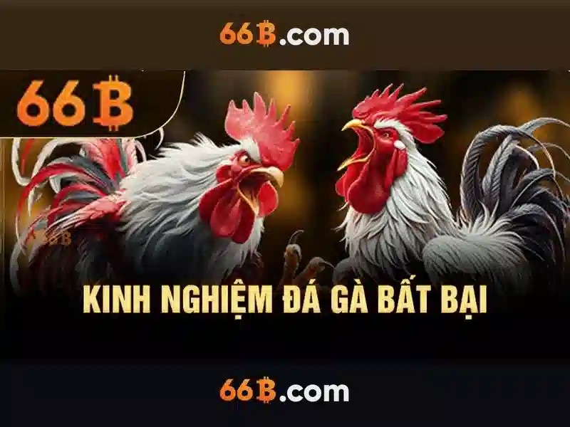 SLOT - 66B