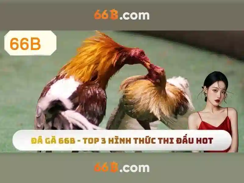 66b: Nền tảng cá cược trực tuyến uy tín năm 2026