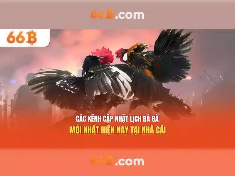  chương trình khuyến mãi 66b - 66B