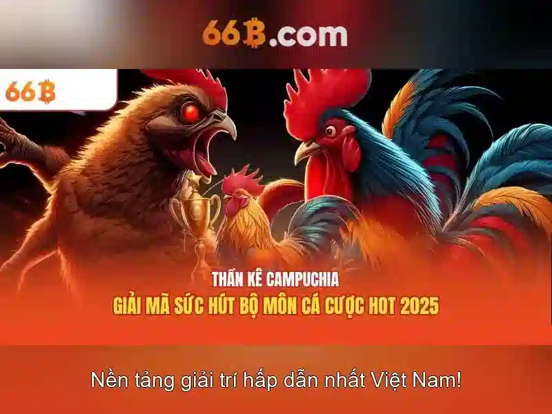  66b chính thức - 66B