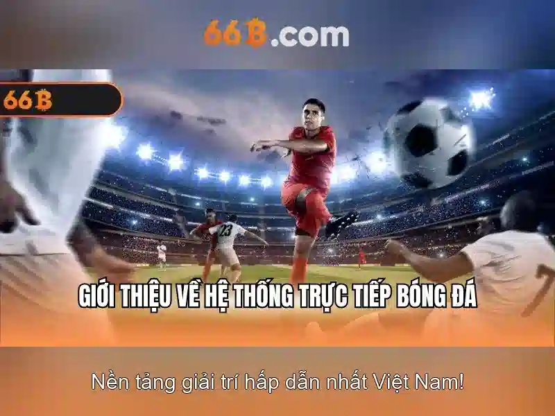  66b chính thức - 66B