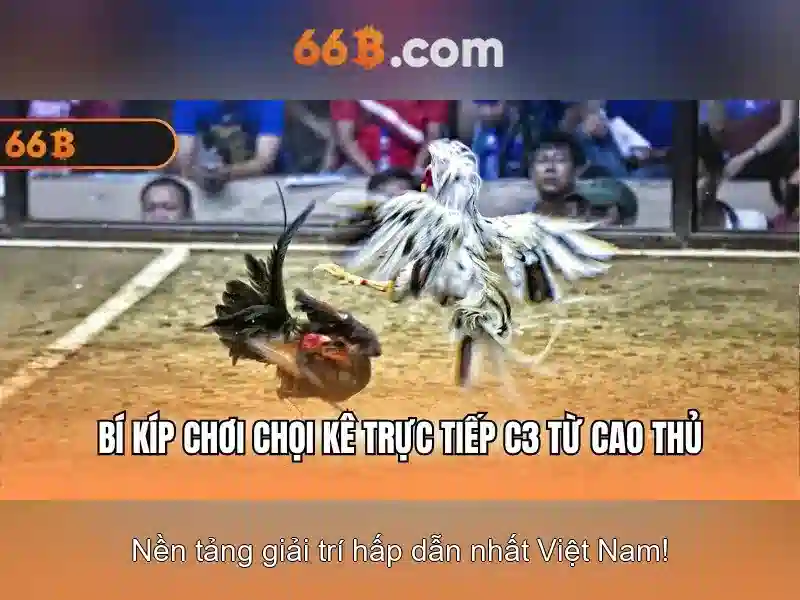  66b club - 66B