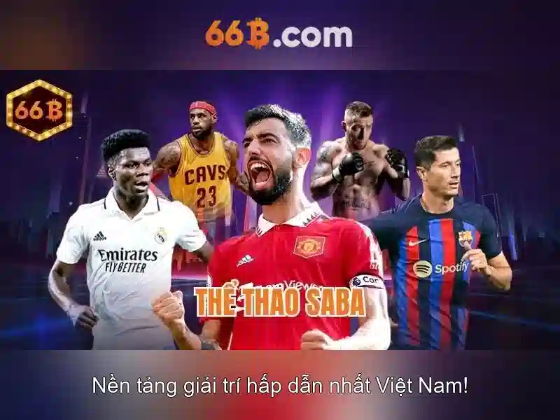  cá cược thể thao - 66B