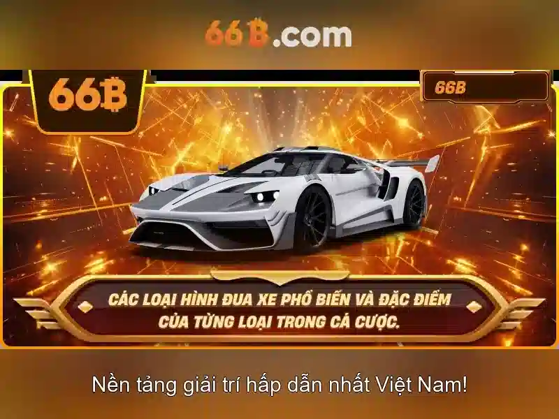 hỗ trợ 66B - 66B