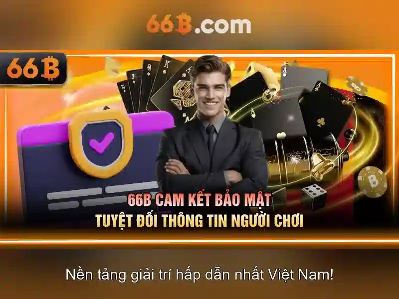 giấy phép hoạt động - 66B