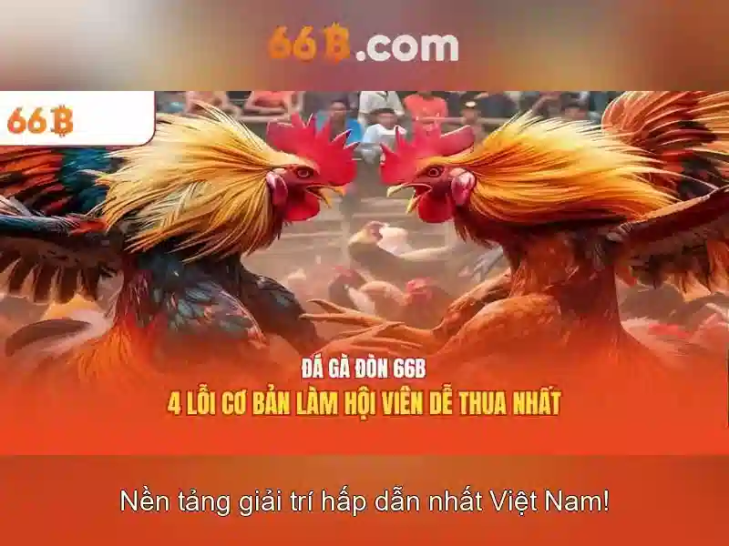 66B – 66b Free Chip Ưu Đãi Slot 2026 - 66B