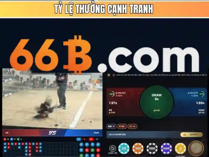 66b: Nền tảng cá cược trực tuyến uy tín năm 2026