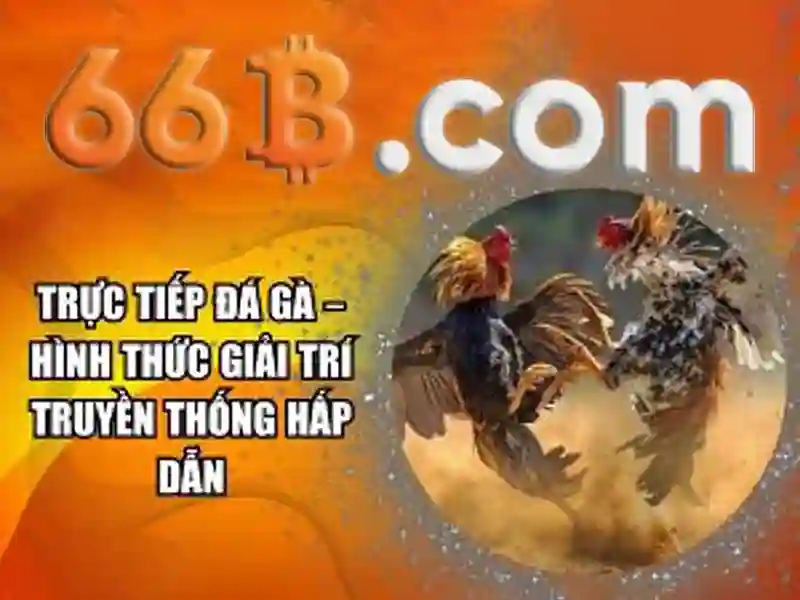  nhà cái SLOT - 66B