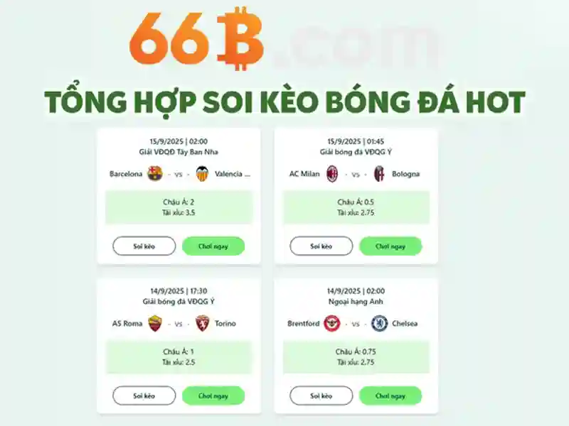  66b chính hãng - 66B
